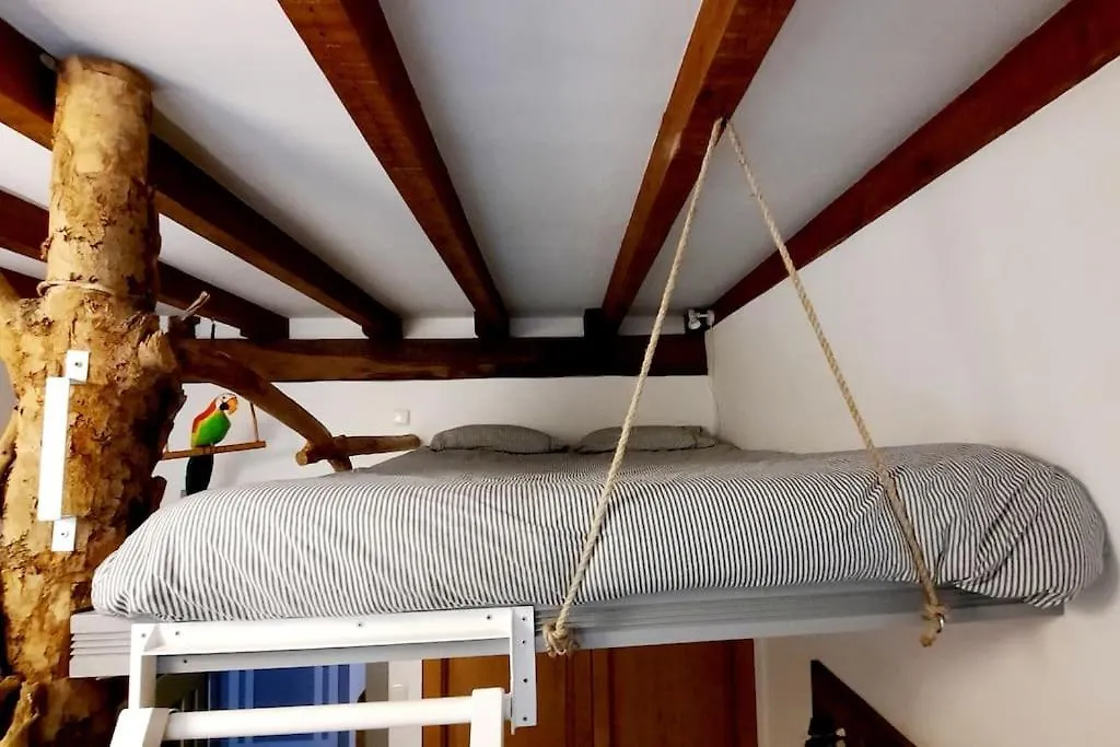 Apartmán La Casa Del Arbol San Sebastián Španělsko