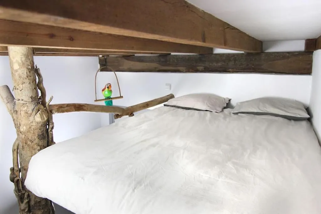 Apartmán La Casa Del Arbol San Sebastián 0*,